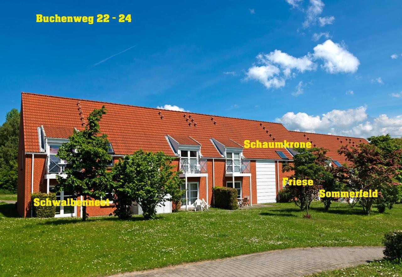 Buchenweg Whg.24, Friese, Eg Re Apartment Insula Poel Exterior foto